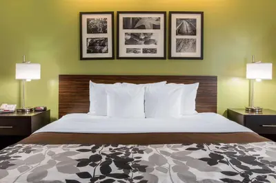 a bed in a hotel room with three pictures on the wall at Sleep Inn & Suites Oregon - Toledo in Oregon