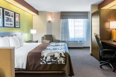 a hotel room with a bed and a desk at Sleep Inn & Suites Oregon - Toledo in Oregon