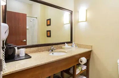 a bathroom with a sink and a large mirror at Comfort Suites Twinsburg in Twinsburg