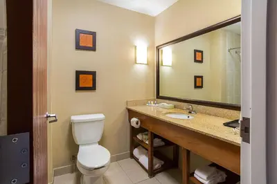 a bathroom with a toilet and a large mirror at Comfort Suites Twinsburg in Twinsburg