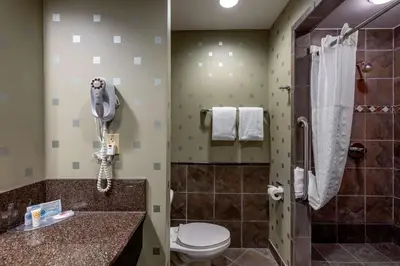 a bathroom with a toilet and a shower at Comfort Suites Perrysburg - Toledo South in Perrysburg