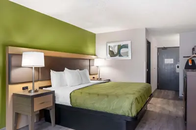 a hotel room with a bed and a green wall at Quality Inn & Suites Delaware South in Delaware