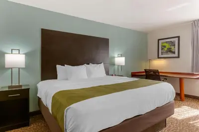 a hotel room with a large bed and a desk at Quality Inn Alexis Rd in Toledo