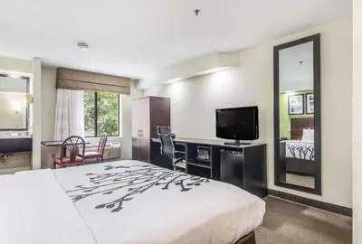 a hotel room with a bed and a desk and a television at Sleep Inn Austintown - Youngstown, West in Austintown