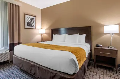 a large bed in a hotel room with two lamps at Comfort Inn & Suites Cincinnati Uptown Clifton in Cincinnati