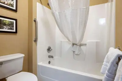 a bathroom with a toilet and a bath tub with a curtain at Comfort Inn Meadowlands in Washington