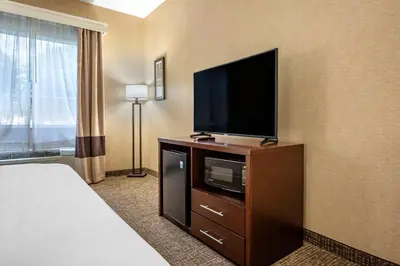 a hotel room with a television and a bed at Comfort Inn Meadowlands in Washington