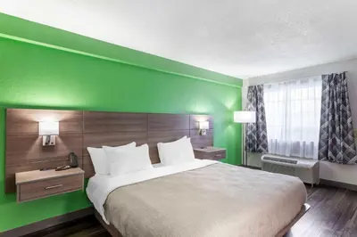 a hotel room with a bed and a green wall at Quality Inn Ripley in Ripley