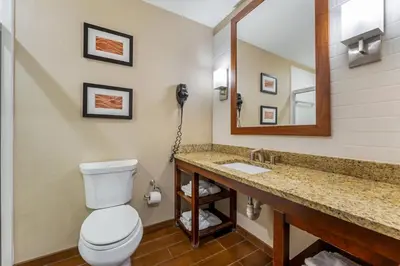 a bathroom with a toilet and a sink and a mirror at Comfort Inn & Suites Triadelphia - Wheeling in Triadelphia