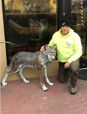 a man kneeling next to a statue of a wolf at Wolf Inn Hotel in Sandusky