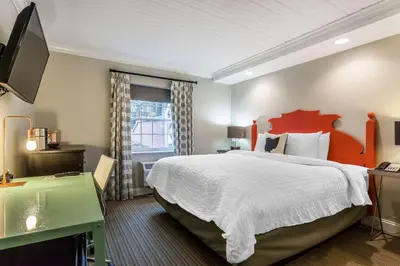 a bedroom with a large bed and a television at The Aurora Inn Hotel and Event Center in Aurora