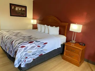 a hotel room with a bed and a night stand with two lamps at Red Roof Inn Wheelersburg in Wheelersburg