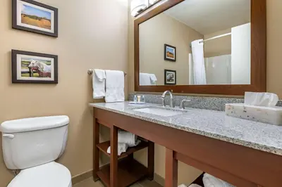 a bathroom with a sink and a toilet and a mirror at Comfort Inn & Suites Northern Kentucky in Wilder