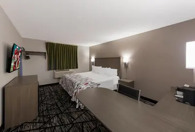 a hotel room with a bed and a television at Red Roof Inn Mansfield in Mansfield