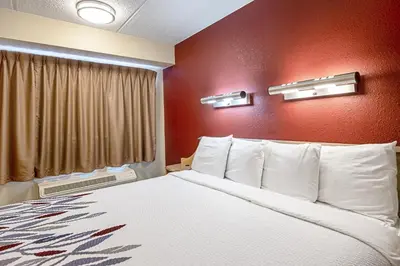 a bed in a hotel room with a red wall at Red Roof Inn Charleston West - Hurricane, WV in Teays Valley Estates