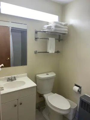 a bathroom with a white toilet and a sink at Bellevue Hotel and Suites in Bellevue
