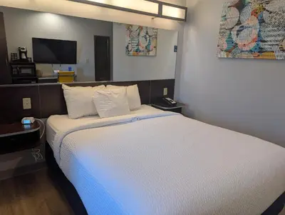 a bedroom with a bed and a television in it at Microtel Inn & Suites by Wyndham Wheeling at The Highlands in Triadelphia