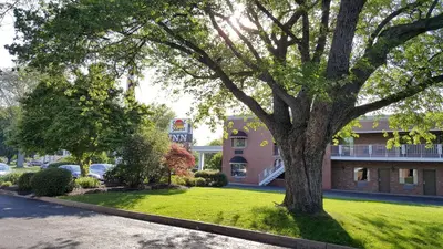 a large tree in front of a building at South Shore Inn in Sandusky