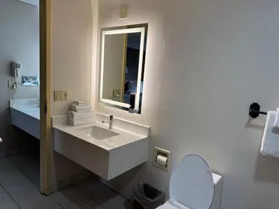 a bathroom with a sink and a toilet and a mirror at South Shore Inn in Sandusky