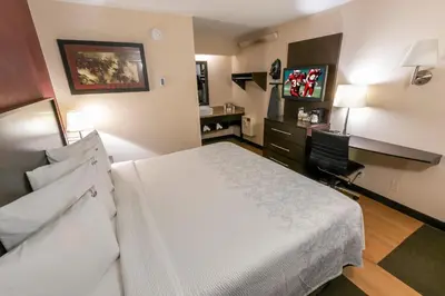 a hotel room with a bed and a desk at Red Roof Inn PLUS+ Columbus - Dublin in Dublin