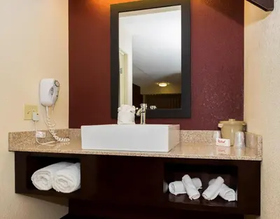 a bathroom with a sink and a mirror and towels at Red Roof Inn PLUS+ Columbus - Dublin in Dublin