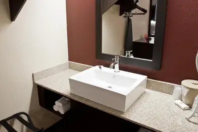 a bathroom with a white sink and a mirror at Red Roof Inn PLUS+ Columbus - Dublin in Dublin