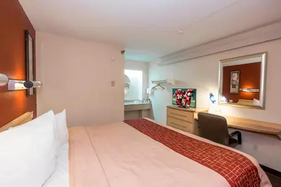 a hotel room with a bed and a desk at Red Roof Inn Cincinnati - Sharonville in Sharonville