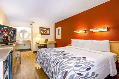 a hotel room with a large bed and a television at Red Roof Inn Canton in Canton