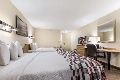 a hotel room with a large bed and a desk at Red Roof Inn Cleveland Airport - Middleburg Heights in Middleburg Heights