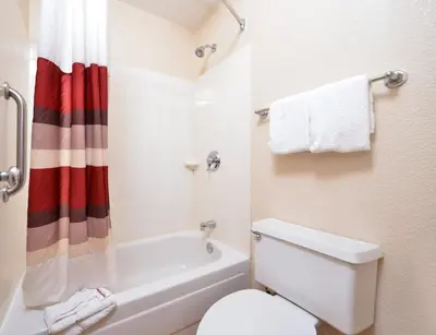 a bathroom with a white toilet and a shower at Red Roof Inn Toledo University in Toledo
