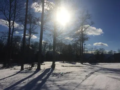 a sun is shining through trees in the snow at Spruce Hill Inn & Cottages in Mansfield