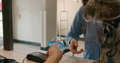 a cat is looking at a person holding a remote control at Motel 6 Portland, IN in Portland