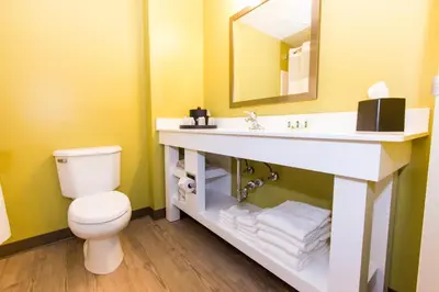 a bathroom with a toilet and a sink with a mirror at Cedar Point's Express Hotel in Sandusky