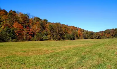 an open field with trees in the background at Altenbrauch Farm - Camping in the Hocking Hills in McArthur