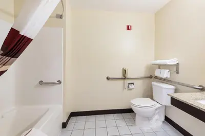 a bathroom with a toilet and a shower at Red Roof Inn Auburn in Auburn