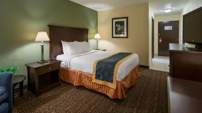 a hotel room with a bed and a television at Best Western Richland Inn Mansfield in Mansfield