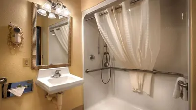 a bathroom with a sink and a shower at Best Western Richland Inn Mansfield in Mansfield