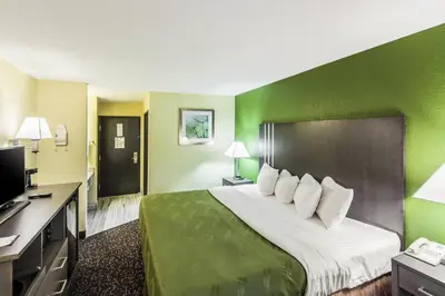 a hotel room with a bed with a green wall at Quality Inn Decatur near US-224 in Decatur