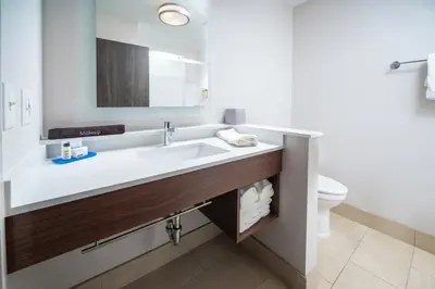 a bathroom with a sink and a toilet at Holiday Inn Express & Suites - Florence - Cincinnati Airport by IHG in Florence