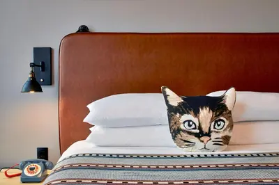 a painting of a cat sitting on top of a bed at Moxy Columbus Short North in Columbus