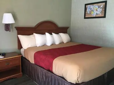 a hotel room with a bed and a night stand at FALLS INN in Newton Falls