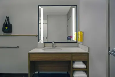a bathroom with a sink with a large mirror at Tru By Hilton Monroe, MI in Monroe