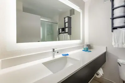 a bathroom with a sink and a mirror at Holiday Inn Express - Columbus Downtown by IHG in Columbus