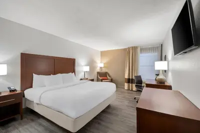 a hotel room with a large bed and a television at Comfort Inn & Suites Cincinnati Eastgate in Eastgate