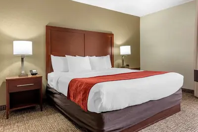 a large bed in a hotel room with two lamps at Comfort Inn & Suites Cincinnati Eastgate in Eastgate