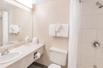 a bathroom with a toilet and a sink and a mirror at Buckeye Inn Express in Columbus