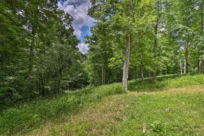 a field of grass with trees in the background at Butler Cabin on 19 Acres with Hot Tub and Fire Pit! in Butler