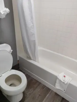 a bathroom with a white toilet and a bath tub at Cedar Cove in Sandusky