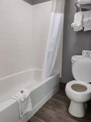 a bathroom with a toilet and a bathtub with a shower curtain at Cedar Cove in Sandusky