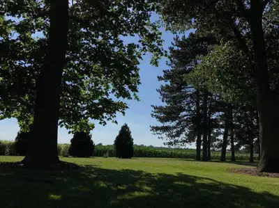 a park with trees and a field of grass at Millsite Lodge in Sandusky